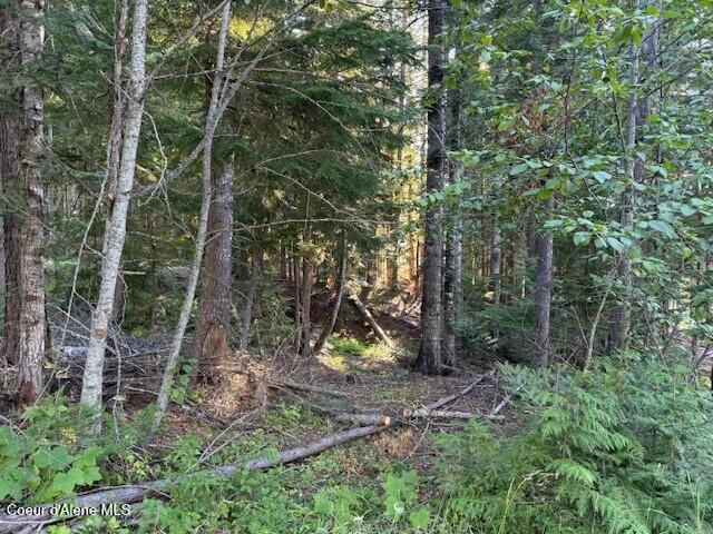 922 Cottonwood Road Priest River, ID 83856 - Photo 14 of 20 pic16