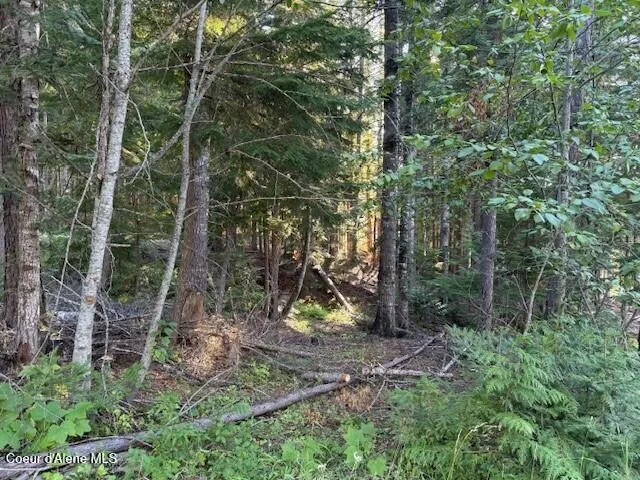 $250,000 | 922 Cottonwood Road, Priest River, ID 83856