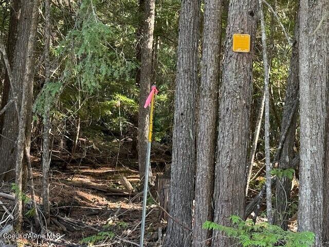 922 Cottonwood Road Priest River, ID 83856 - Photo 4 of 20 pic`12