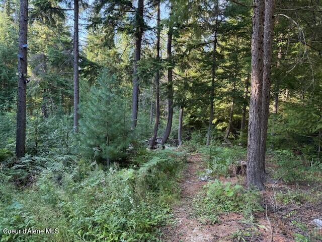 922 Cottonwood Road Priest River, ID 83856 - Photo 5 of 20 pic3