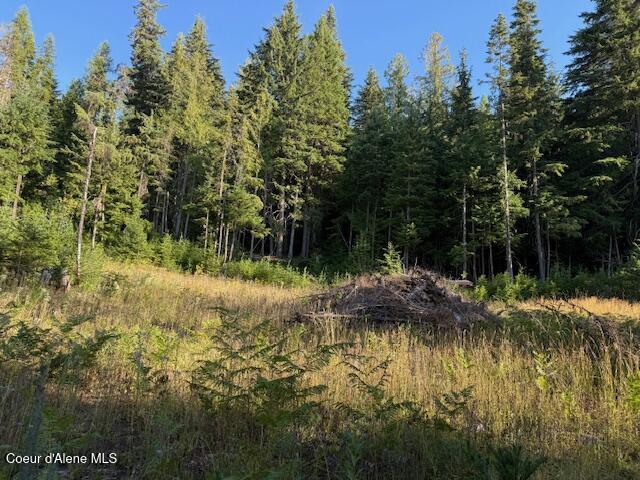 922 Cottonwood Road Priest River, ID 83856 - Photo 6 of 20 pic7