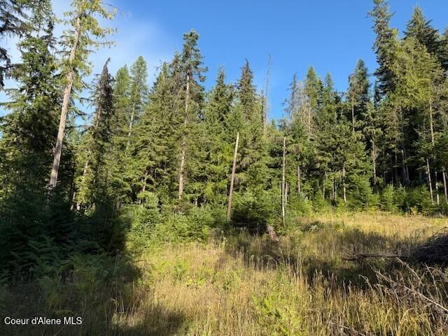 922 Cottonwood Road Priest River, ID 83856 - Photo 6 of 17 pic9