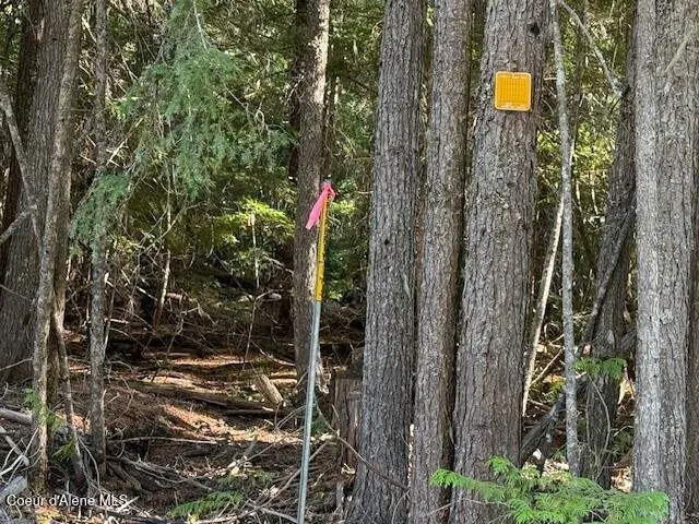 $250,000 | 922 Cottonwood Road, Priest River, ID 83856