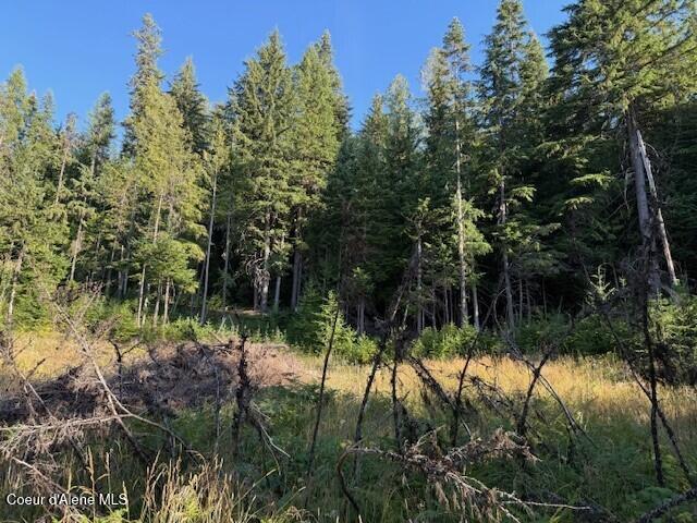 922 Cottonwood Road Priest River, ID 83856 - Photo 7 of 20 pic8