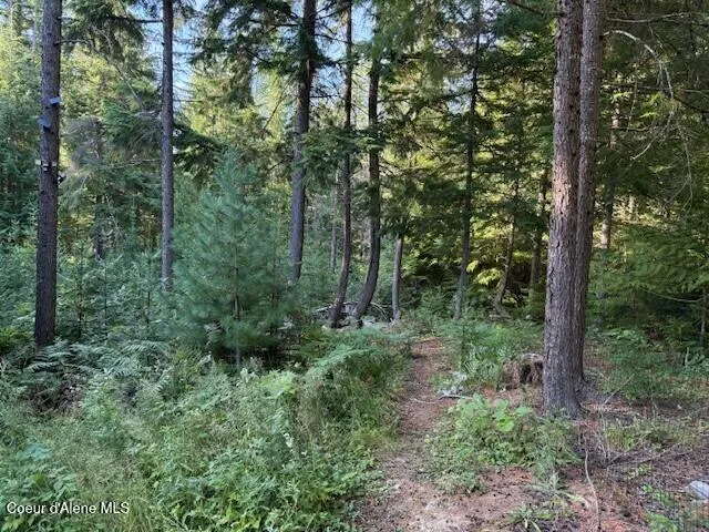 $250,000 | 922 Cottonwood Road, Priest River, ID 83856