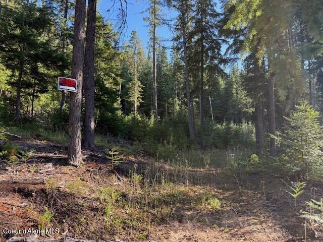 922 Cottonwood Road Priest River, ID 83856 - Photo 9 of 20 pic10