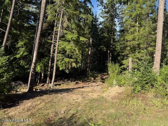 922 Cottonwood Road Priest River, ID 83856 - Photo 9 of 17 pic17