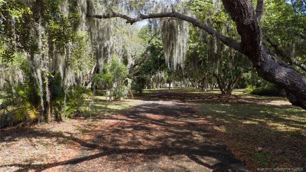 4605 Southeast Williams Way Stuart, FL 34997 - Photo 3 of 7 a view of outdoor space with trees