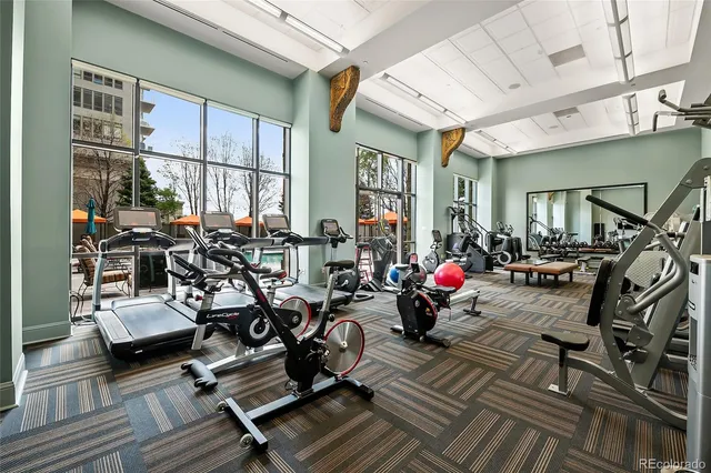 a view of a gym with many windows