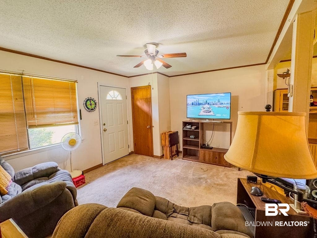 1456 Allen Walker Road Grove Hill, AL 36451 - Photo 11 of 28 Living area with crown molding, a textured ceiling, carpet floors, and ceiling fan