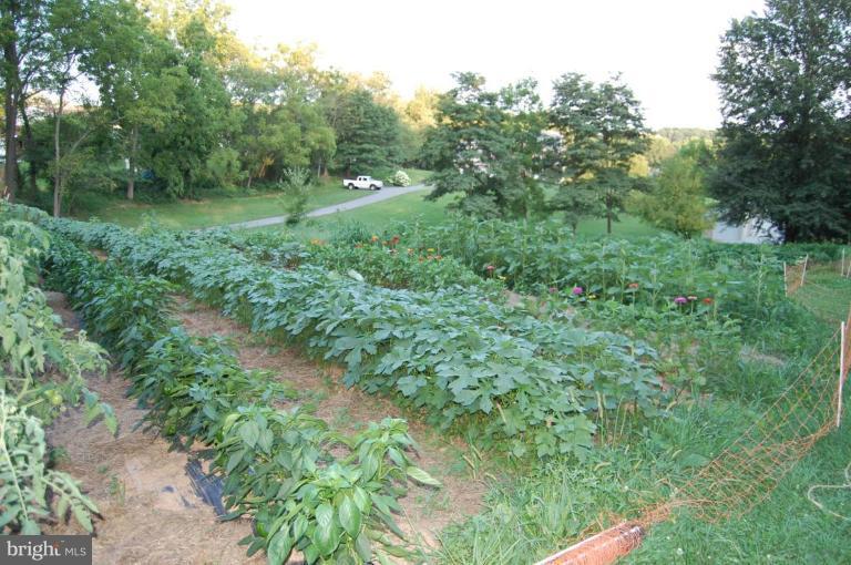 2367 Carrollton Road Westminster, MD 21157 - Photo 1 of 22 a view of a green field with lots of bushes
