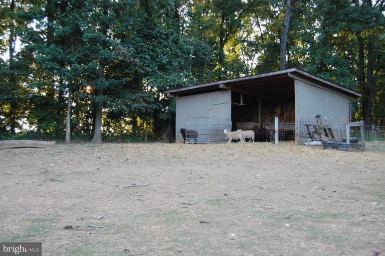 2367 Carrollton Road Westminster, MD 21157 - Photo 4 of 22 a view of a backyard