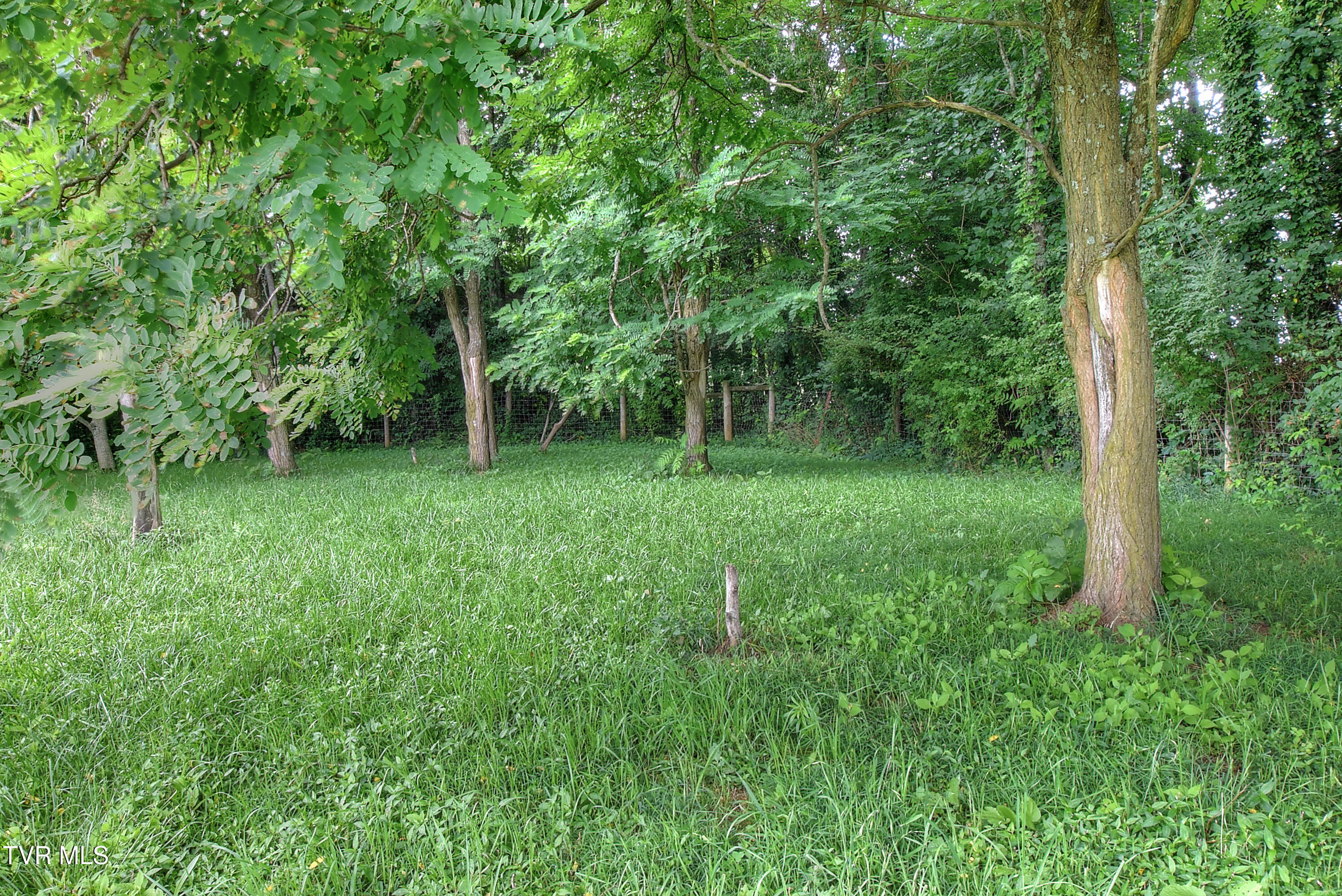 160 Conklin Road Jonesborough, TN 37659 - Photo 50 of 57 DSC_0199_200_201_202_203_204