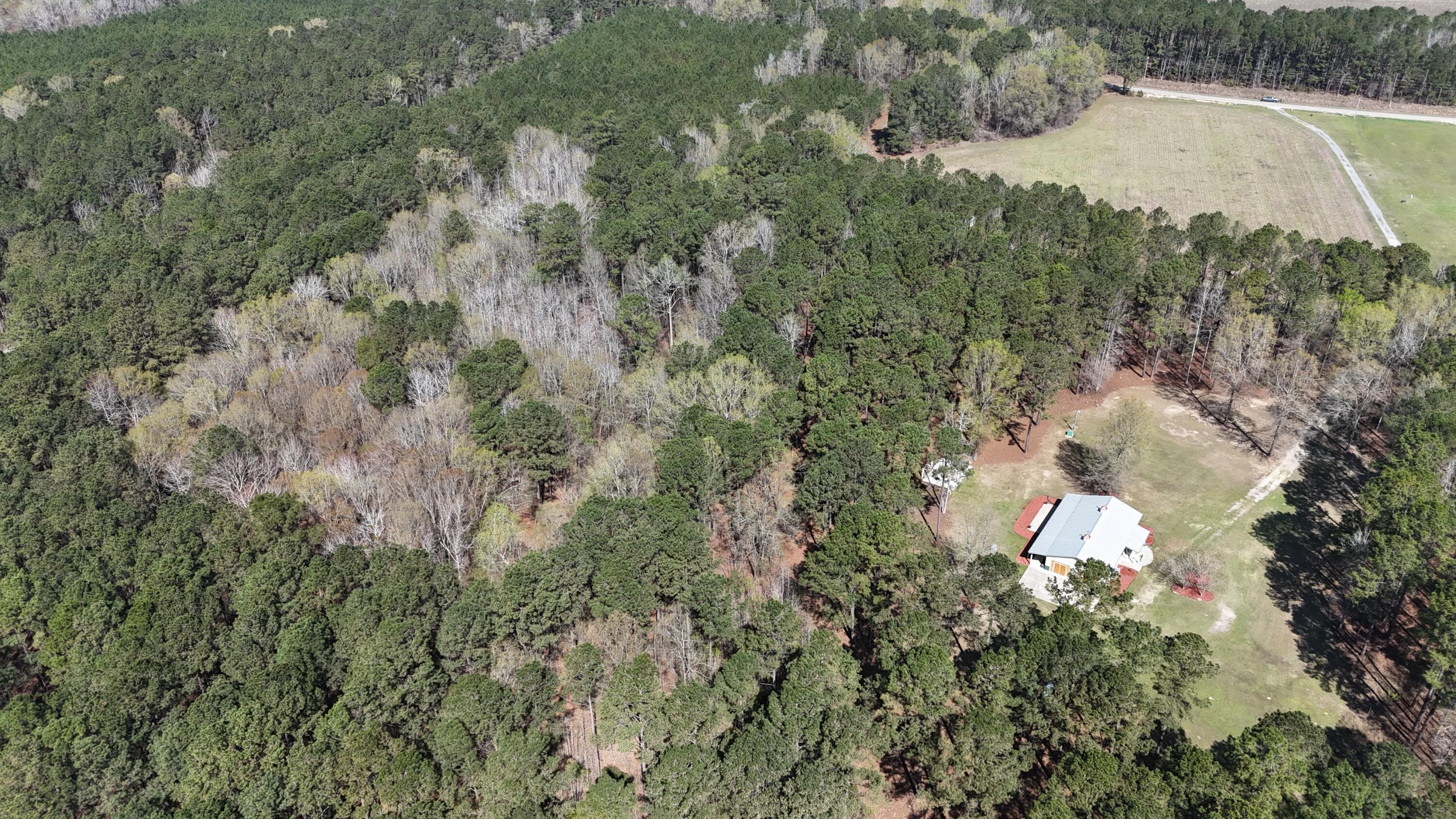 1995 Sam Nexsen Road Summerton, SC 29148 - Photo 40 of 110