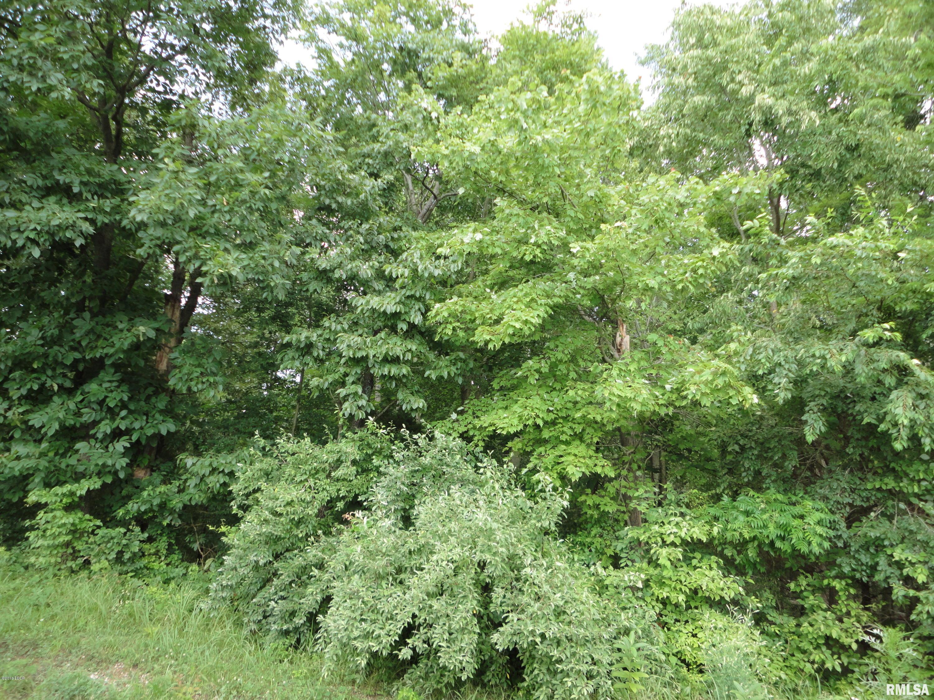 0 Dillingham Road Thompsonville, IL 62890 - Photo 2 of 6