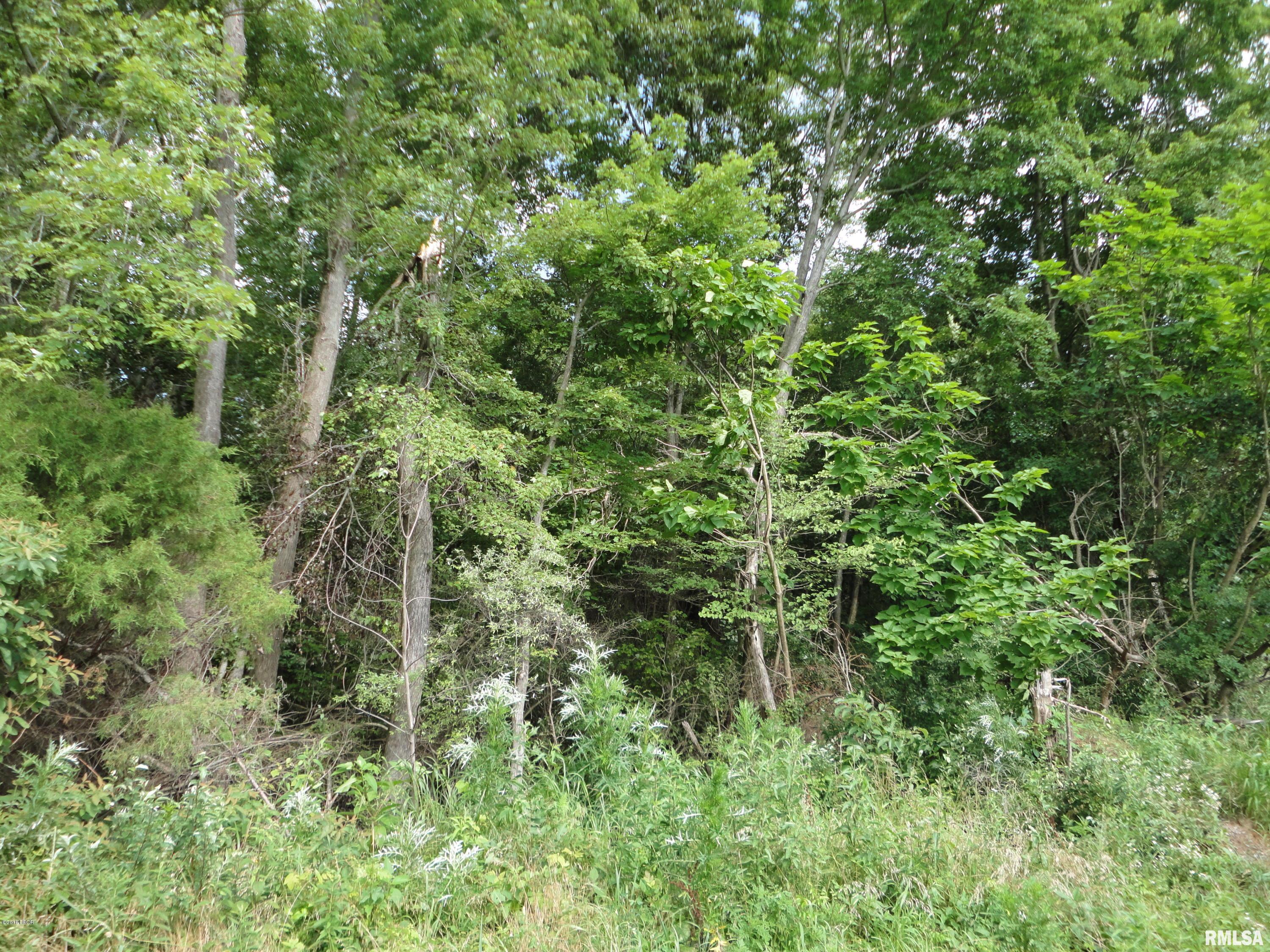 0 Dillingham Road Thompsonville, IL 62890 - Photo 4 of 6