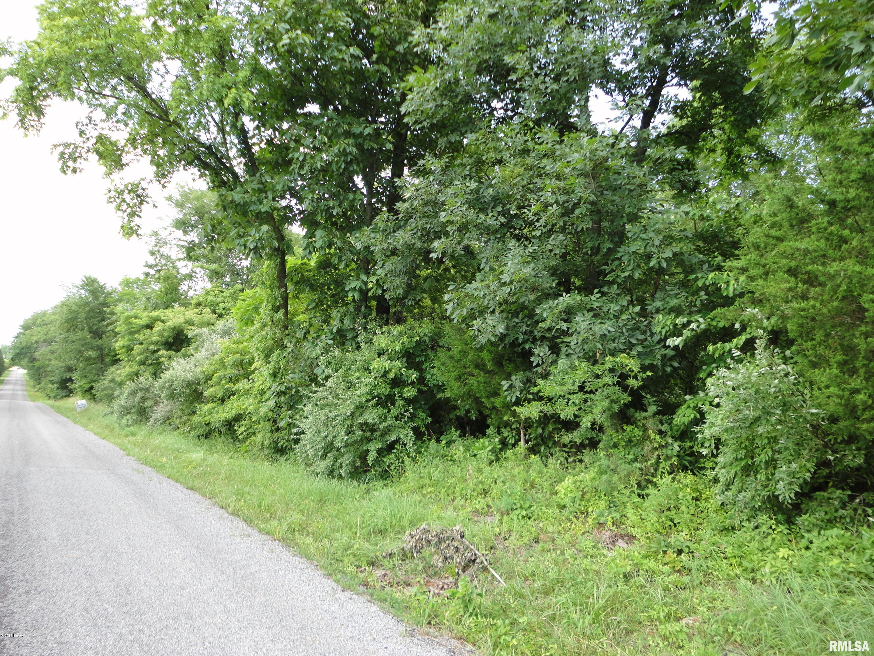 0 Dillingham Road Thompsonville, IL 62890 - Photo 5 of 6