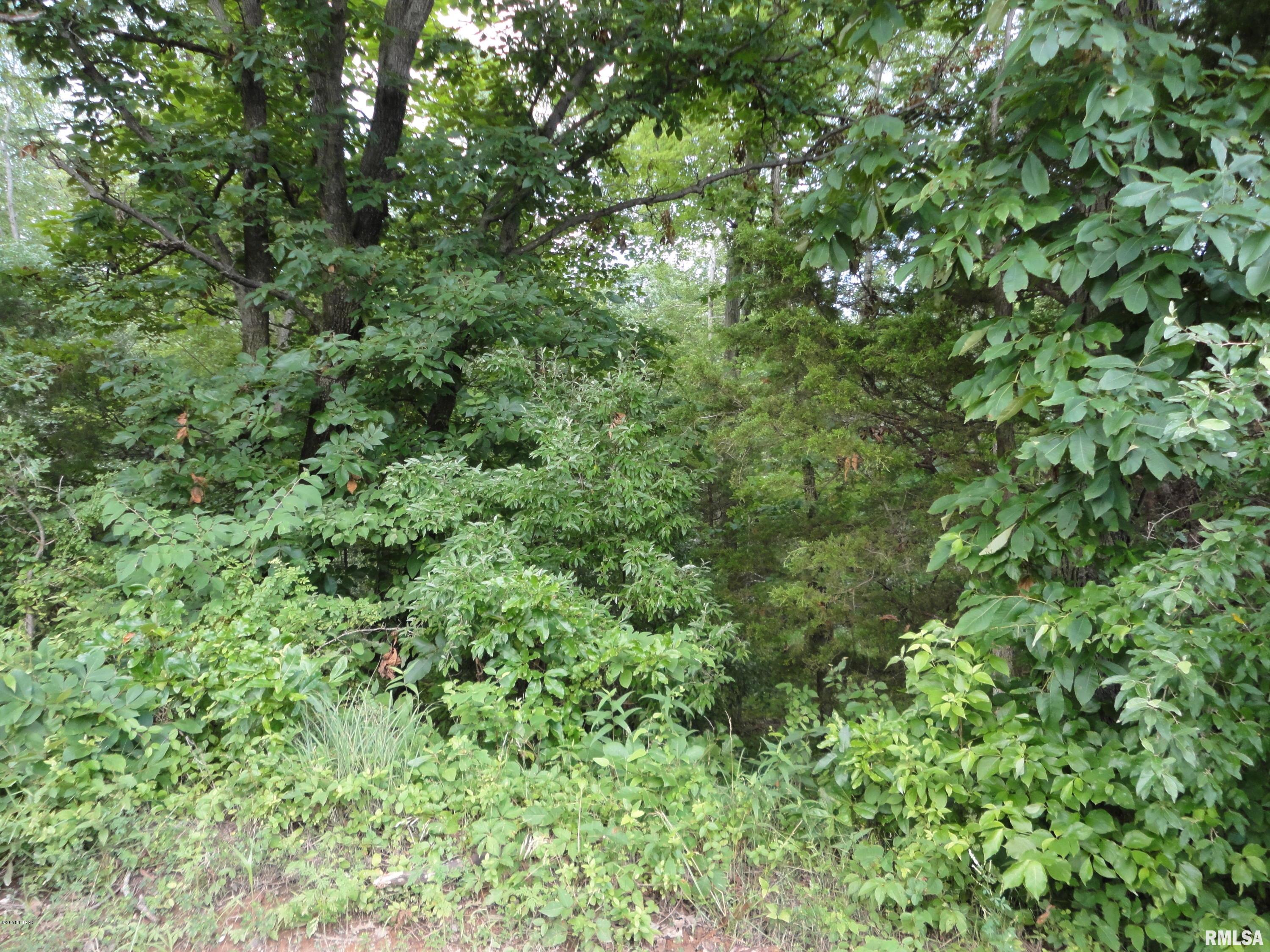 0 Dillingham Road Thompsonville, IL 62890 - Photo 6 of 6
