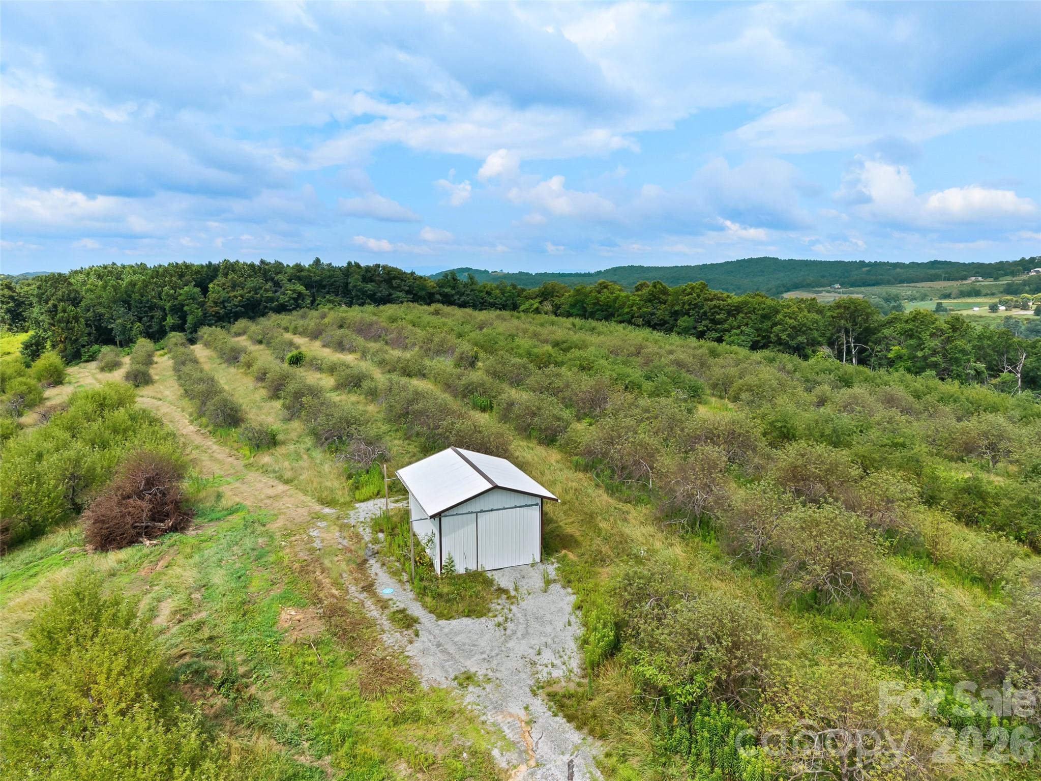 0 Summer Road, Unit 6 Hendersonville, NC 28792 - Photo 3 of 14