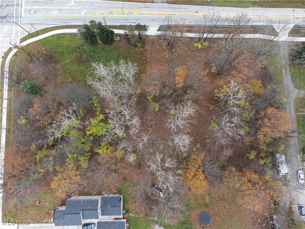 Schady Road Olmsted Falls, OH 44138 - Photo 9 of 13 Gallery Image 9