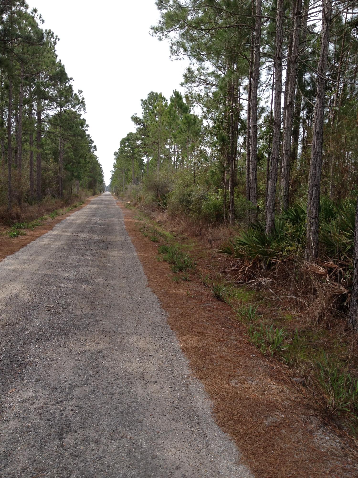 Lot 4 Louis Road Santa Rosa Beach, FL 32459 - Photo 3 of 3 Gallery Image 3