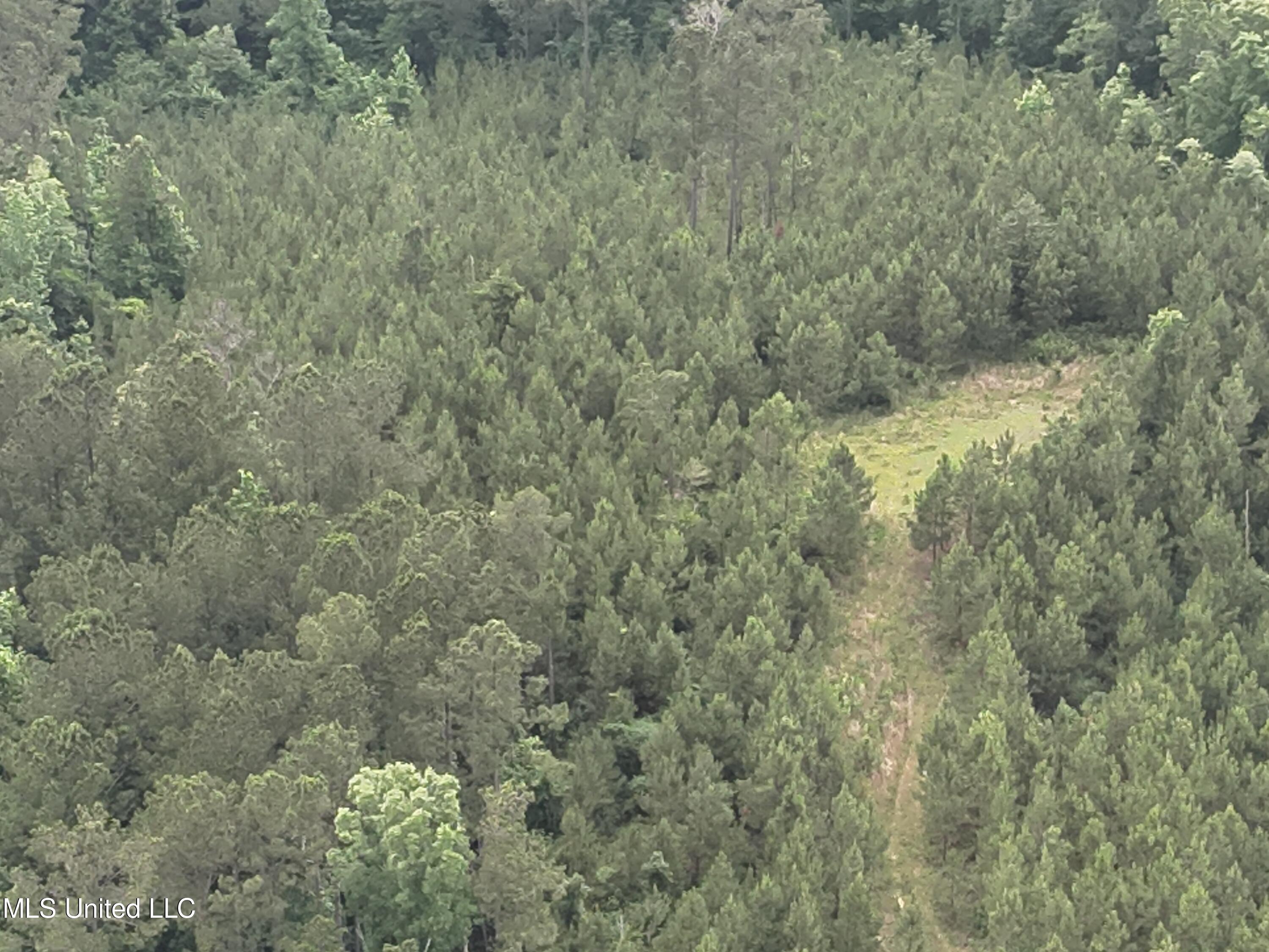 Old Pickens Rd Road Sallis, MS 39160 - Photo 13 of 28 DJI_20230524154851_0012_V