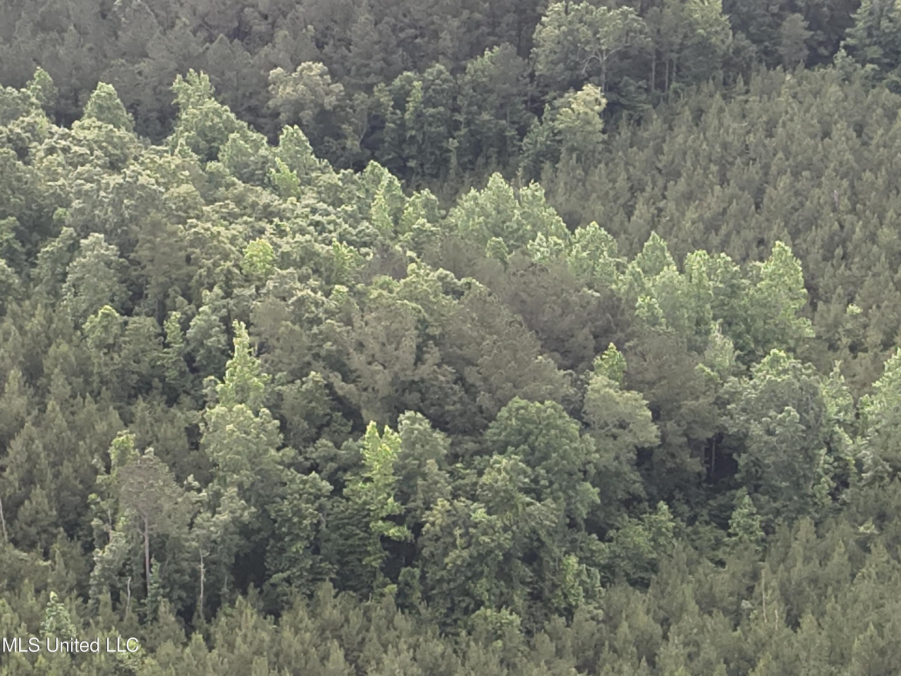 Old Pickens Rd Road Sallis, MS 39160 - Photo 14 of 28 DJI_20230524154901_0013_V