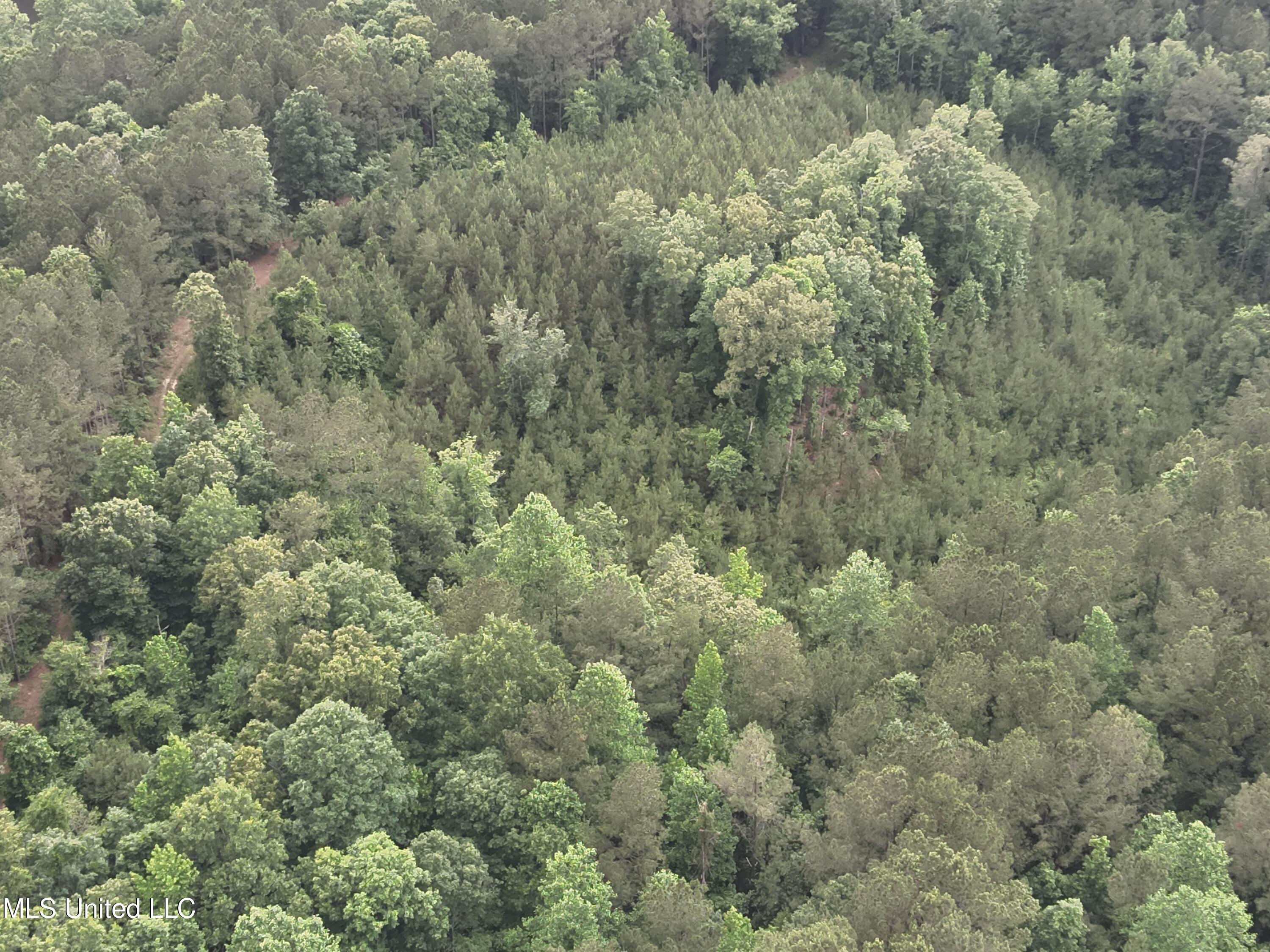 Old Pickens Rd Road Sallis, MS 39160 - Photo 15 of 28 DJI_20230524154930_0014_V
