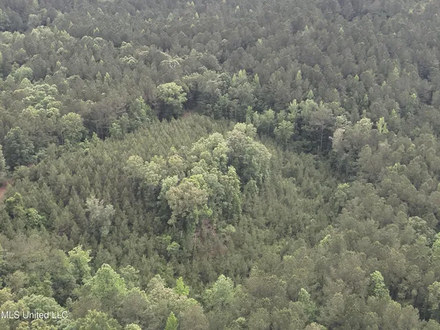 $283,600 | Old Pickens Rd Road, Sallis, MS 39160