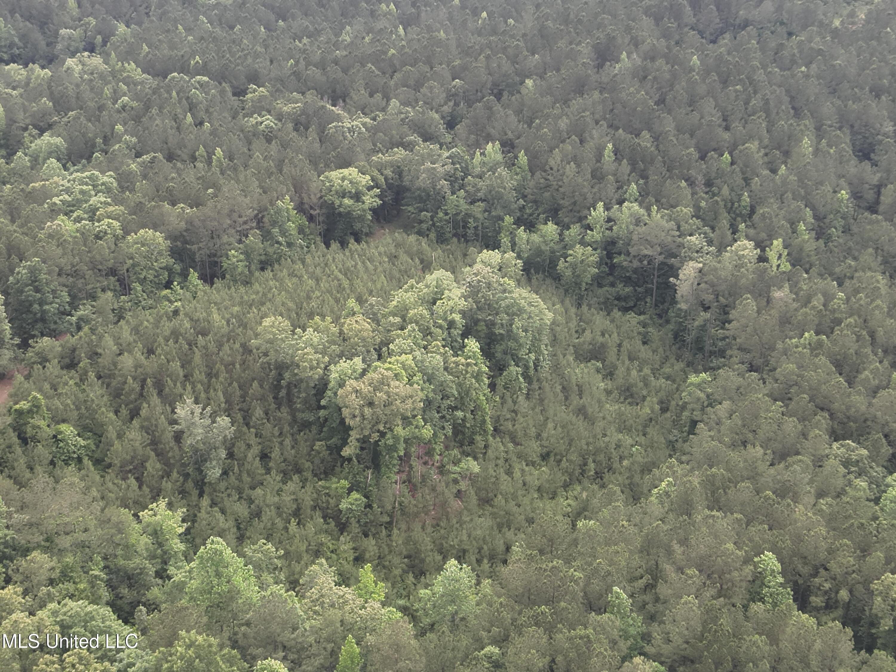 Old Pickens Rd Road Sallis, MS 39160 - Photo 16 of 28 DJI_20230524154939_0015_V