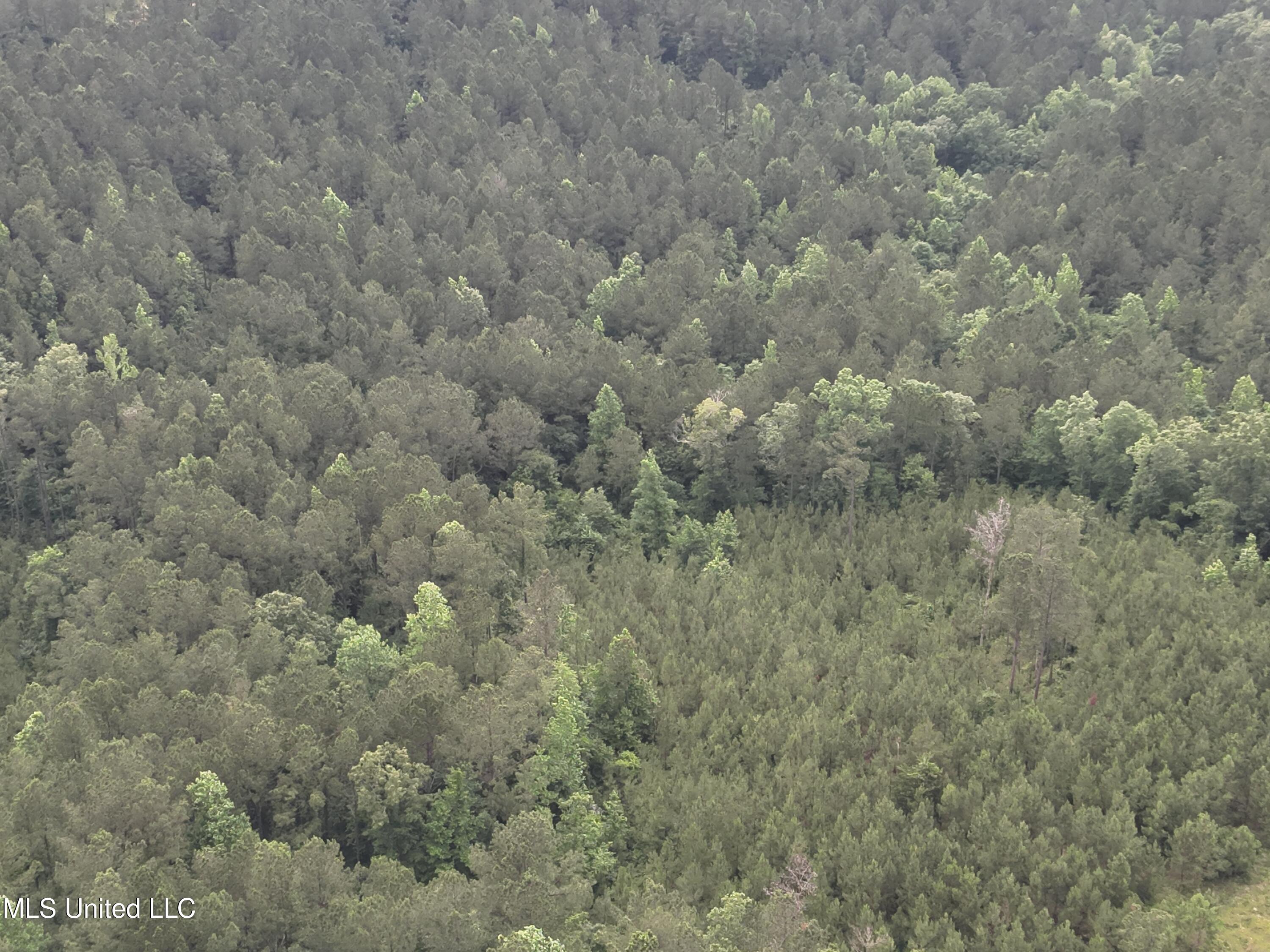 Old Pickens Rd Road Sallis, MS 39160 - Photo 17 of 28 DJI_20230524154944_0016_V