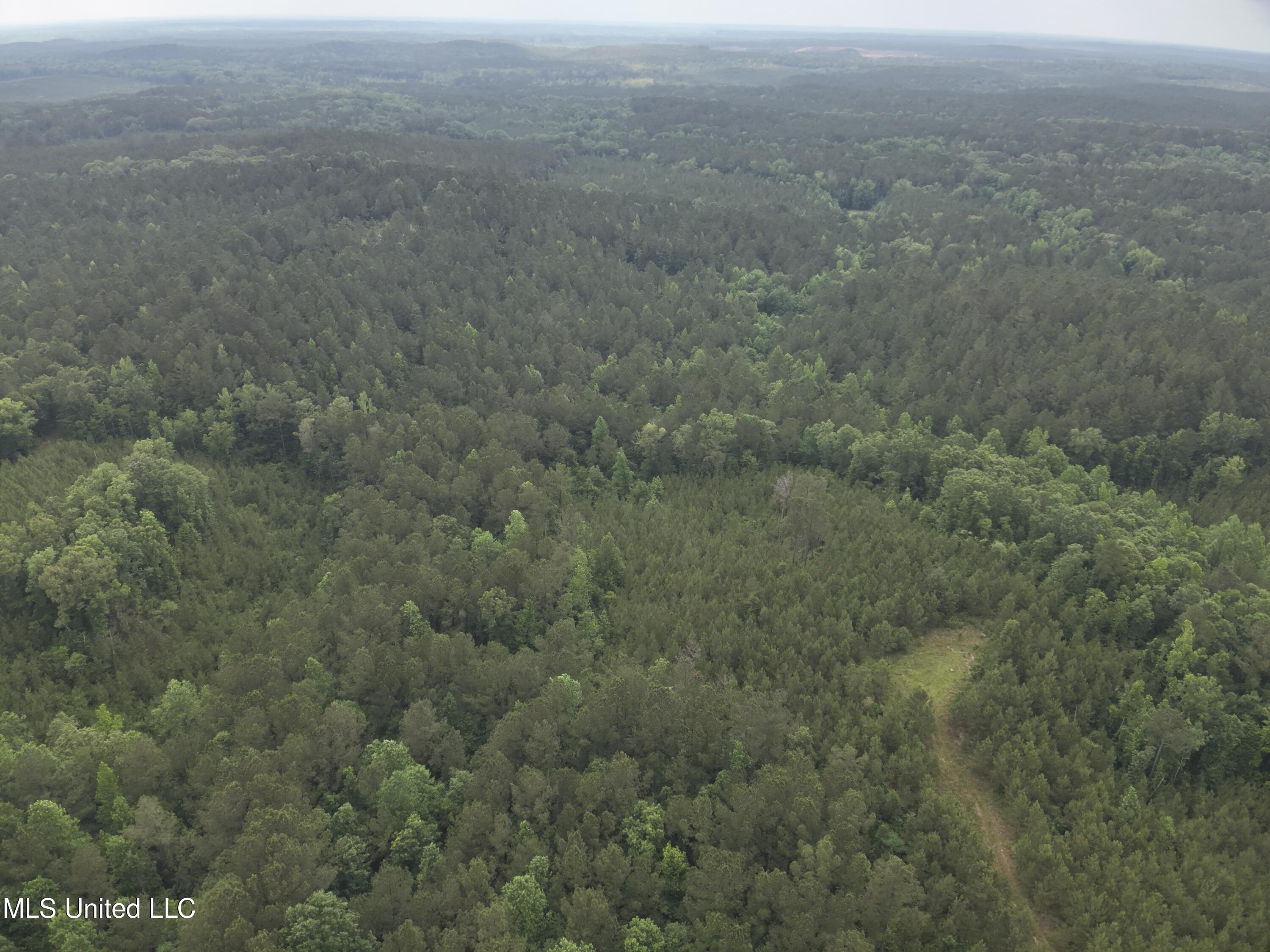 Old Pickens Rd Road Sallis, MS 39160 - Photo 18 of 28 DJI_20230524154949_0017_V