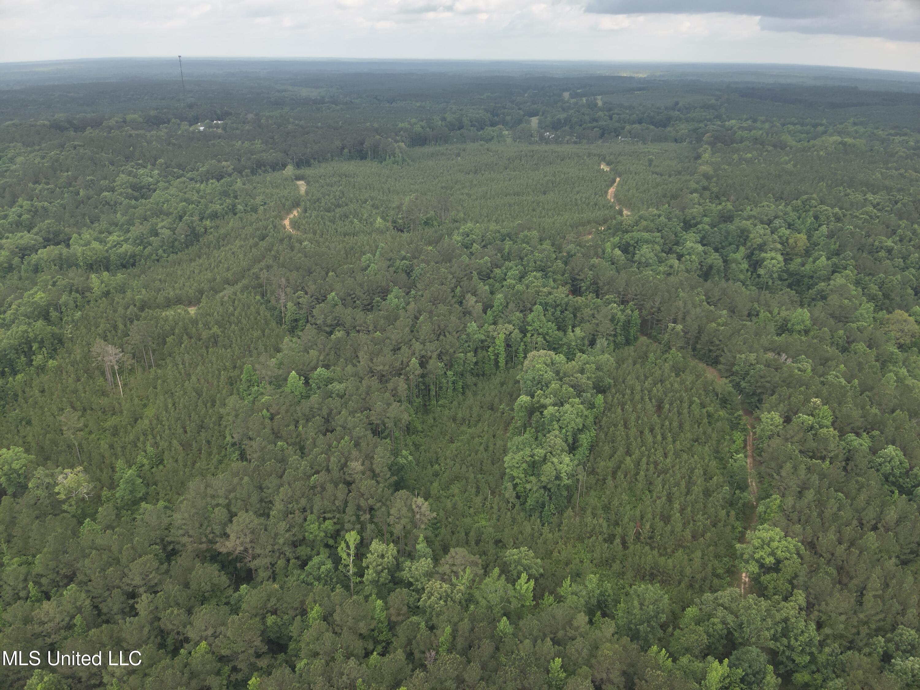 Old Pickens Rd Road Sallis, MS 39160 - Photo 19 of 28 DJI_20230524155050_0018_V