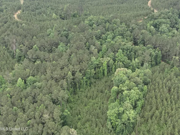 $283,600 | Old Pickens Rd Road, Sallis, MS 39160