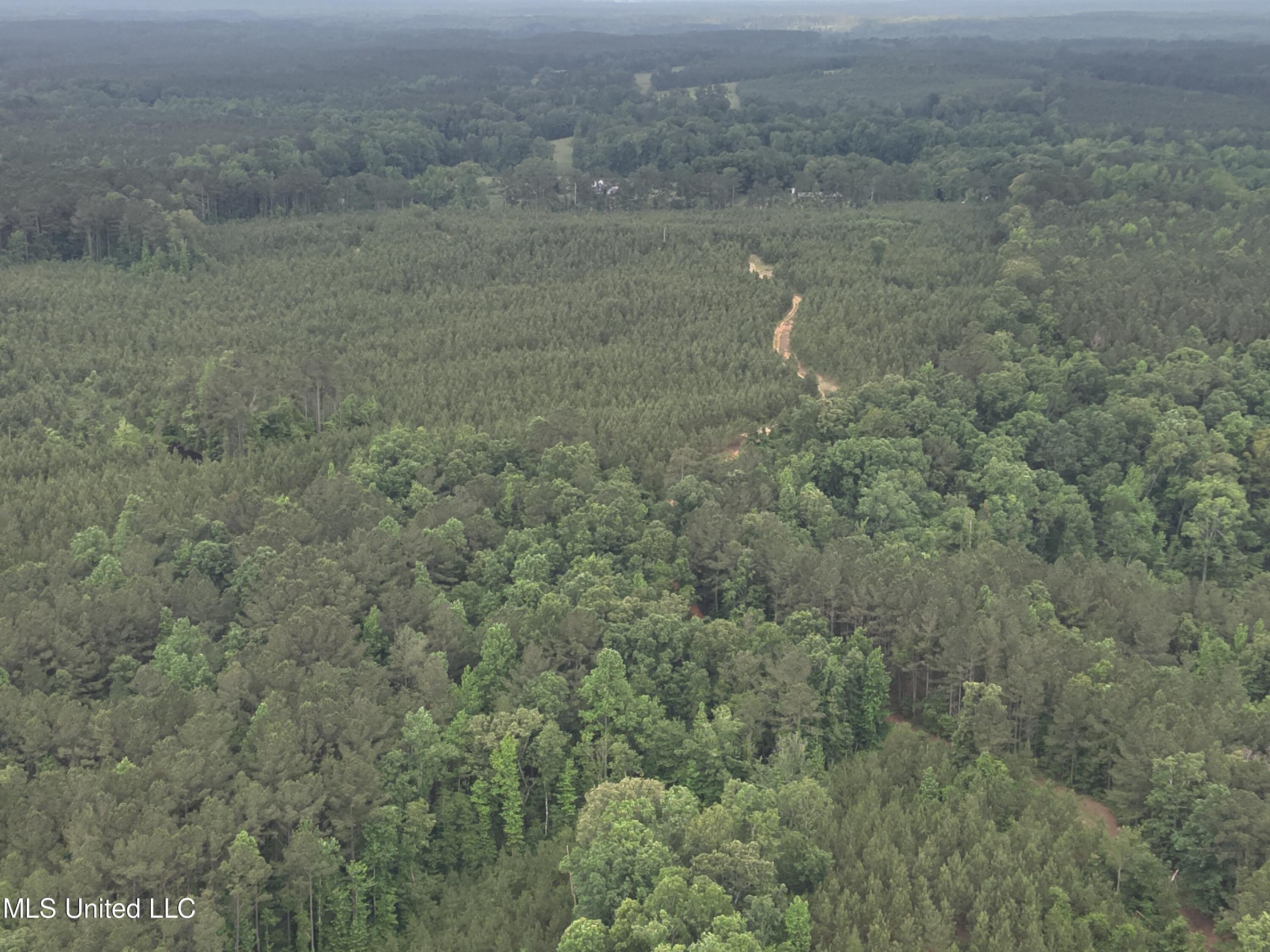 Old Pickens Rd Road Sallis, MS 39160 - Photo 21 of 28 DJI_20230524155111_0020_V