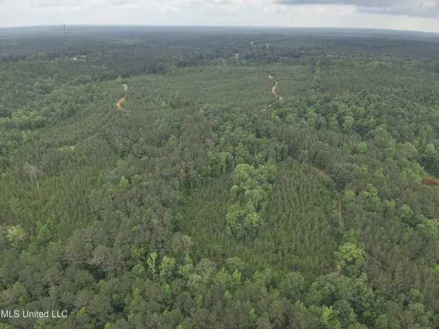 $283,600 | Old Pickens Rd Road, Sallis, MS 39160