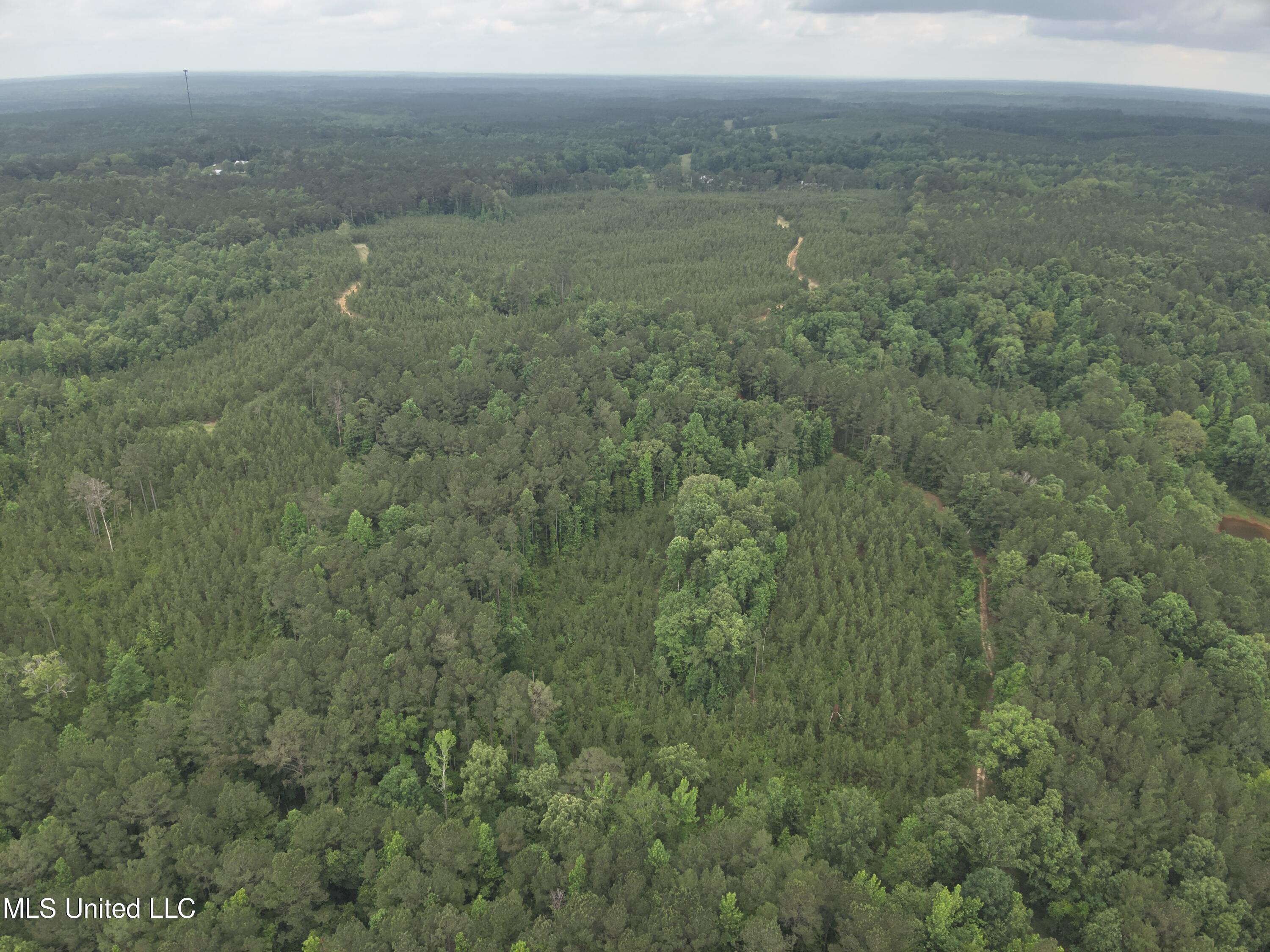 Old Pickens Rd Road Sallis, MS 39160 - Photo 23 of 28 DJI_20230524155204_0022_V