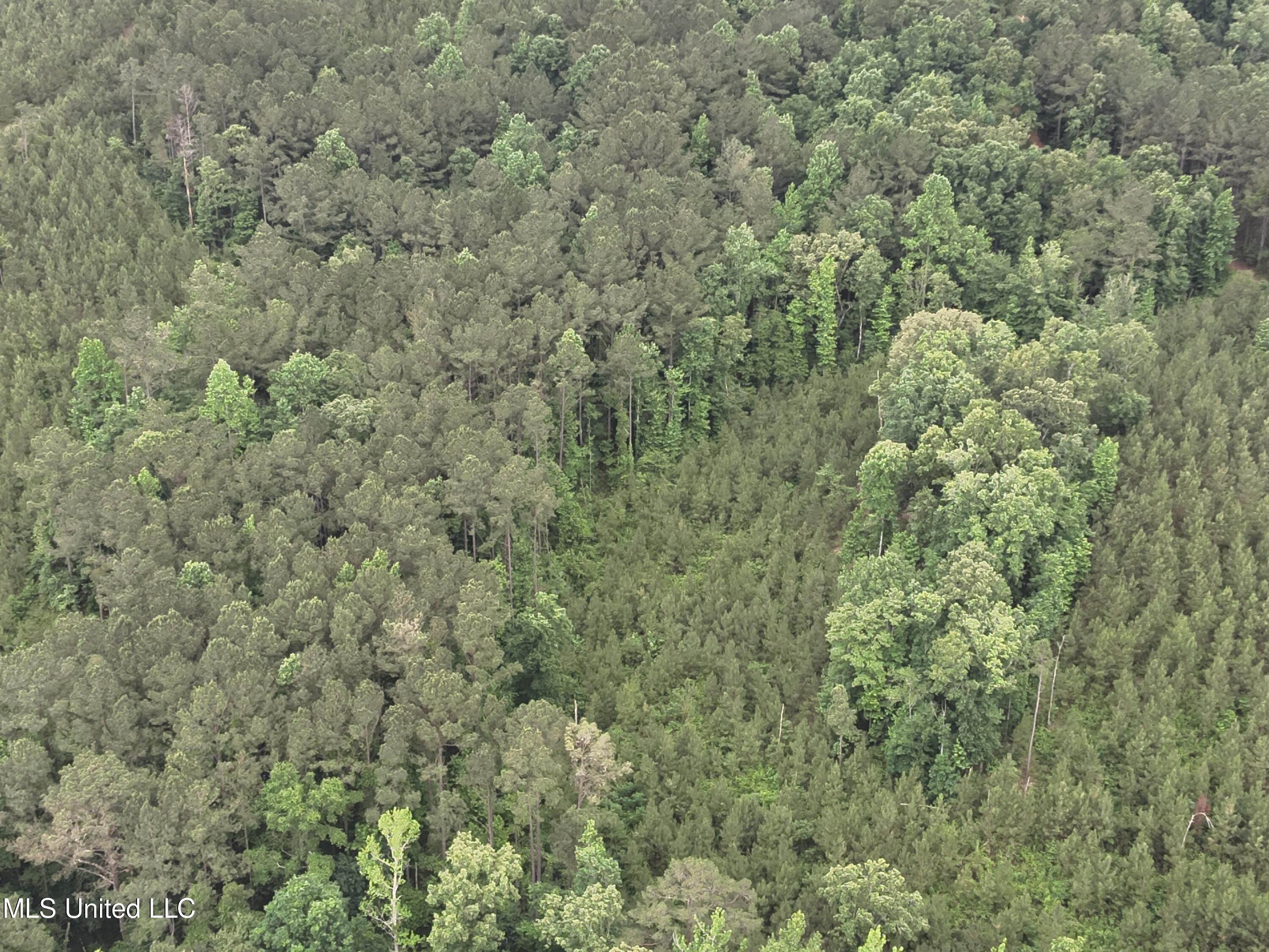 Old Pickens Rd Road Sallis, MS 39160 - Photo 24 of 28 DJI_20230524155213_0023_V
