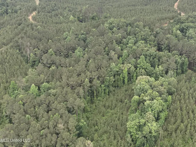 $283,600 | Old Pickens Rd Road, Sallis, MS 39160