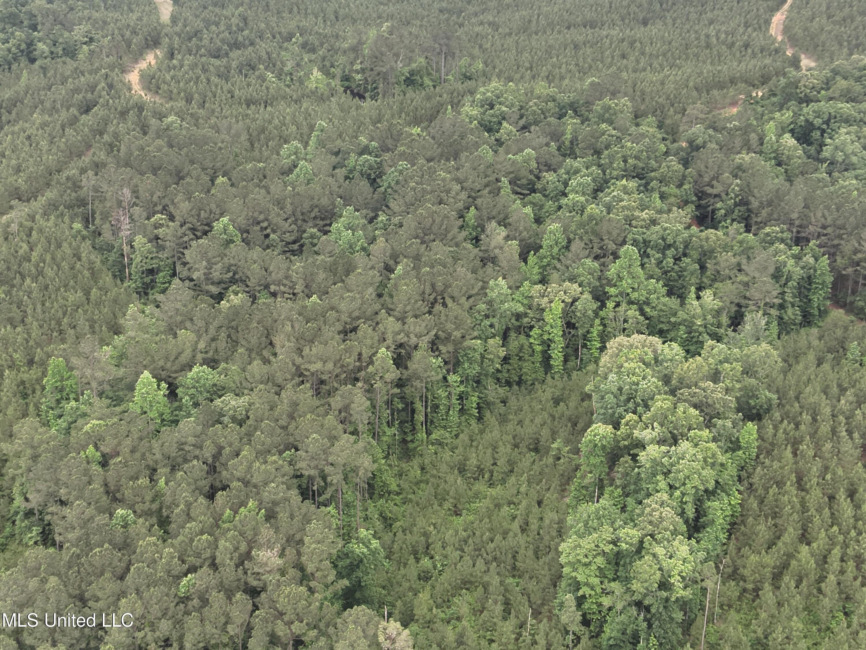 Old Pickens Rd Road Sallis, MS 39160 - Photo 25 of 28 DJI_20230524155216_0024_V