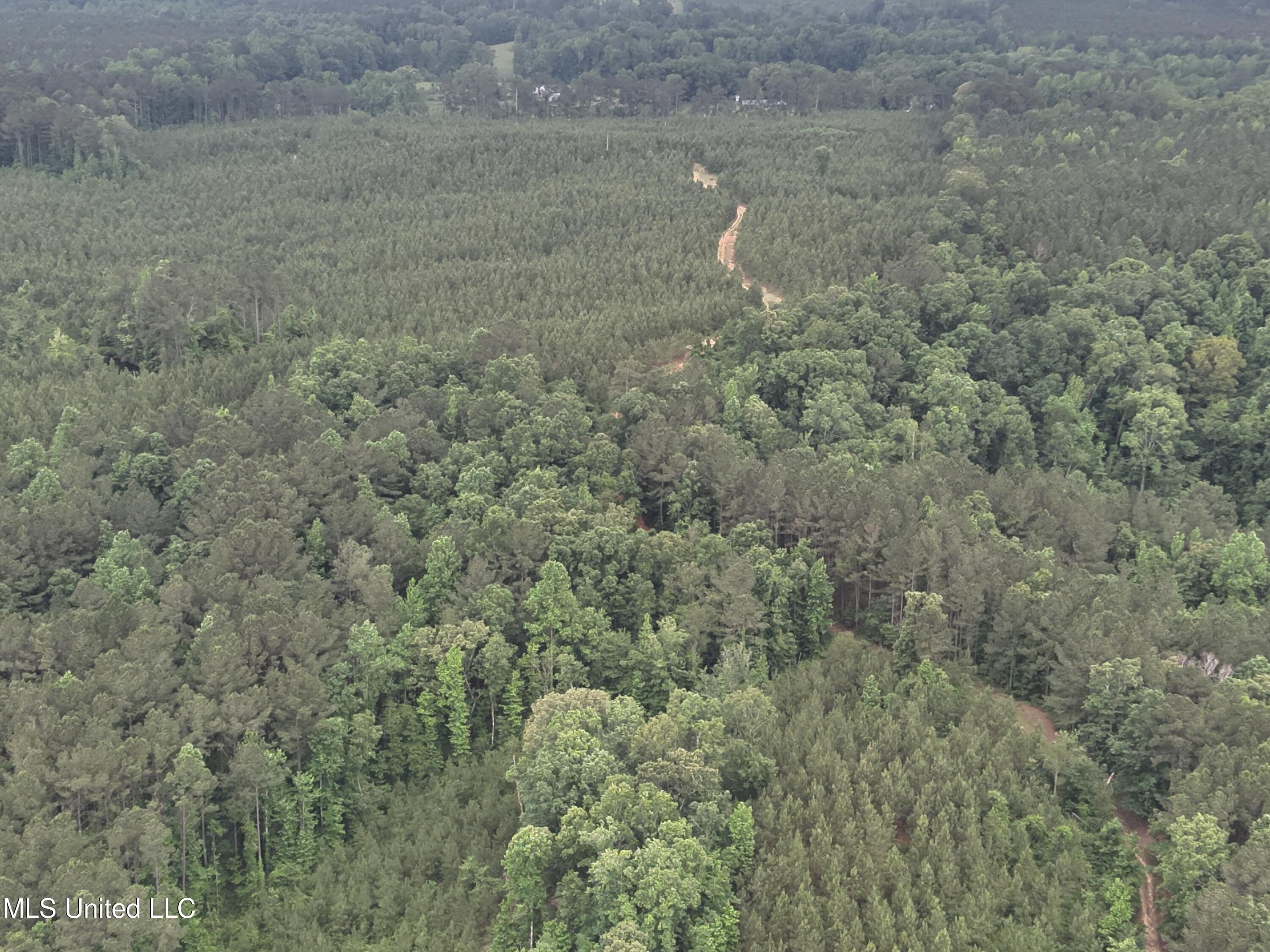 Old Pickens Rd Road Sallis, MS 39160 - Photo 26 of 28 DJI_20230524155221_0025_V