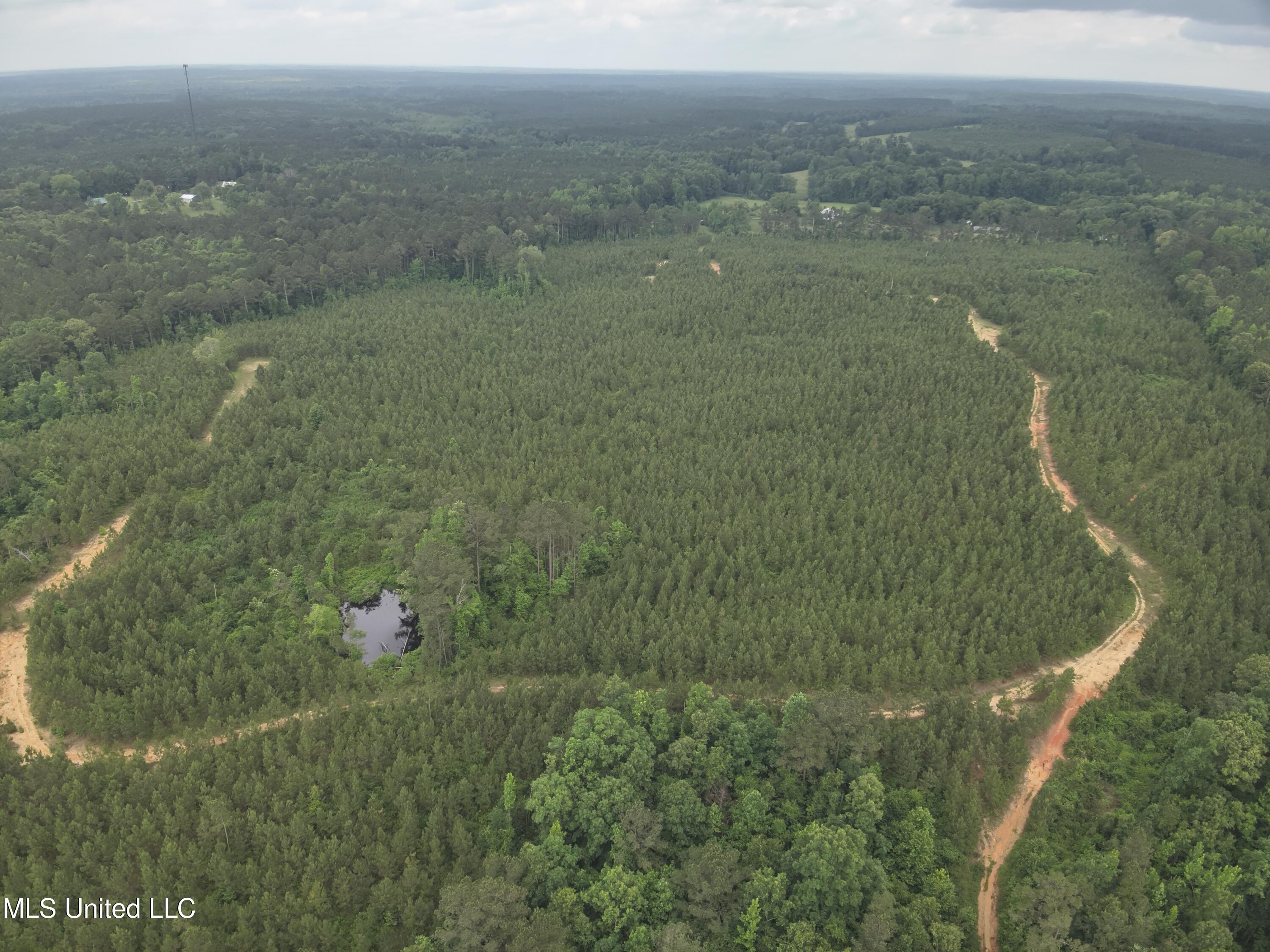 Old Pickens Rd Road Sallis, MS 39160 - Photo 27 of 28 DJI_20230524155248_0026_V