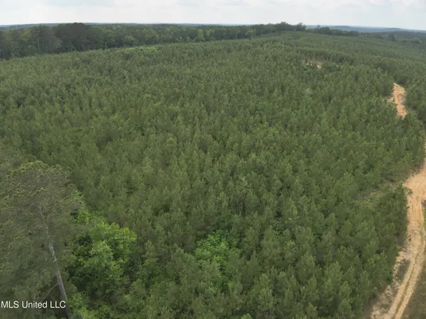 $283,600 | Old Pickens Rd Road, Sallis, MS 39160