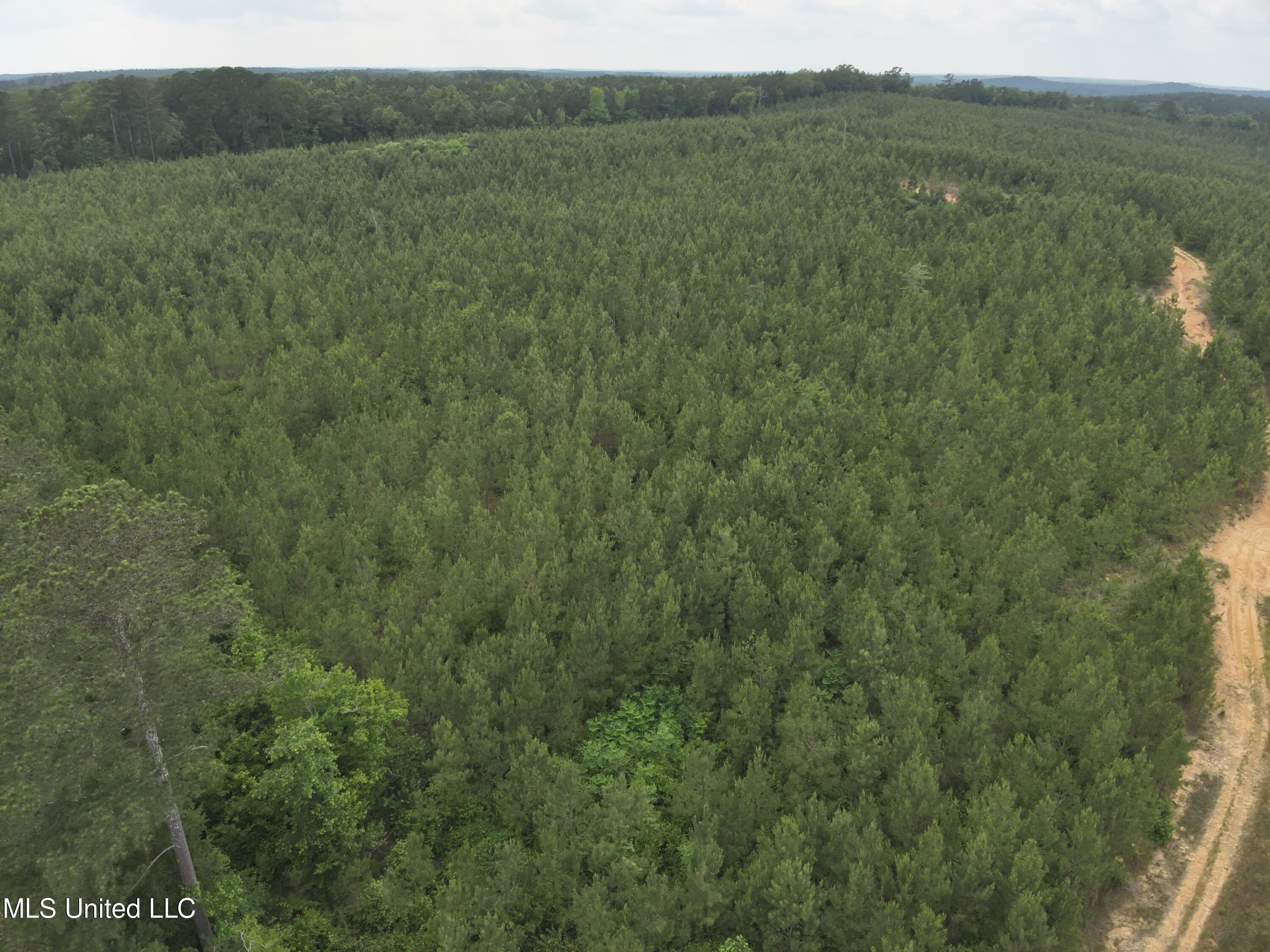 Old Pickens Rd Road Sallis, MS 39160 - Photo 3 of 28 DJI_20230524154327_0002_V