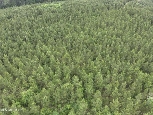 $283,600 | Old Pickens Rd Road, Sallis, MS 39160