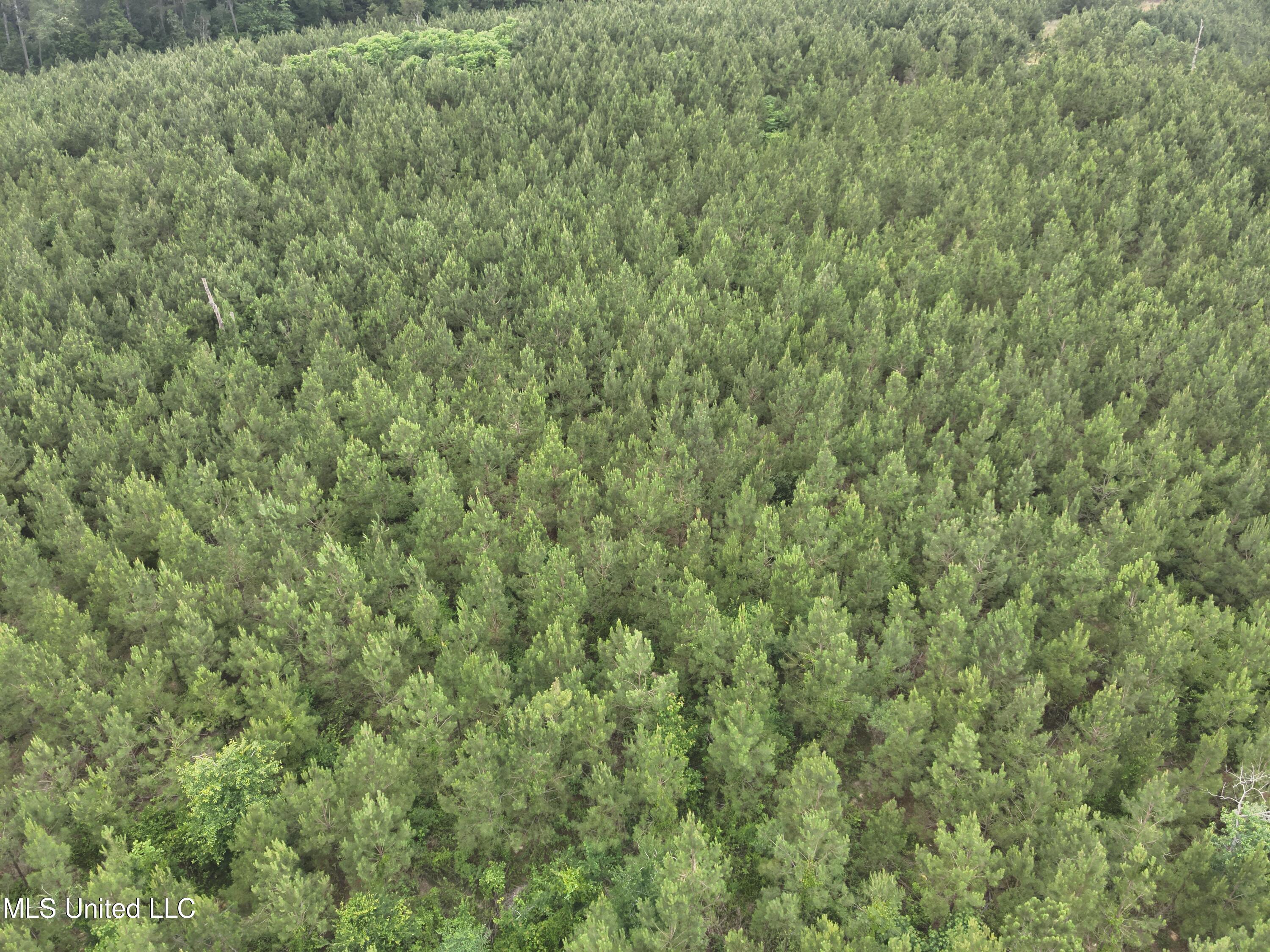 Old Pickens Rd Road Sallis, MS 39160 - Photo 5 of 28 DJI_20230524154352_0004_V