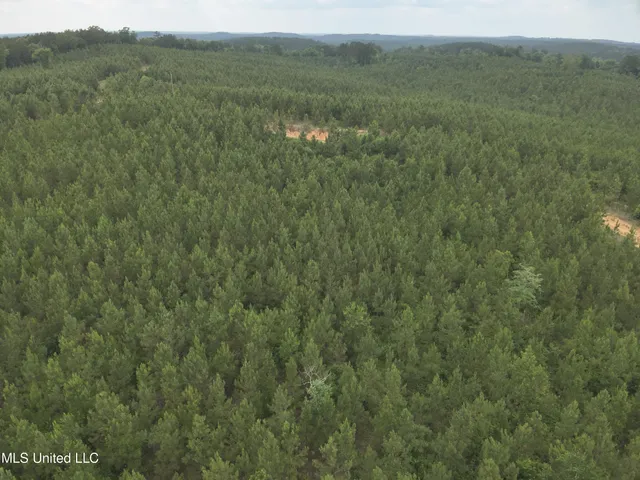 $283,600 | Old Pickens Rd Road, Sallis, MS 39160