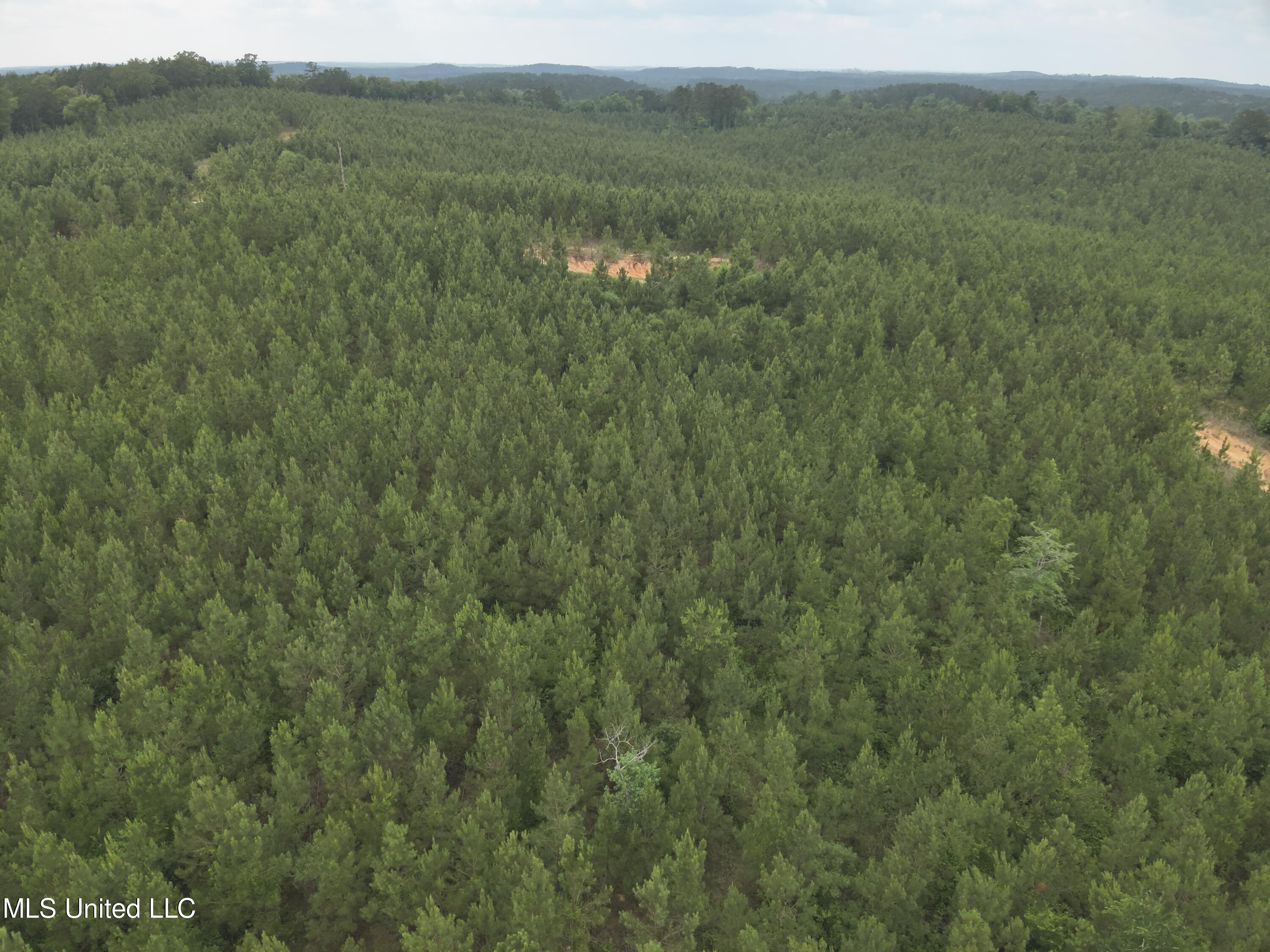 Old Pickens Rd Road Sallis, MS 39160 - Photo 6 of 28 DJI_20230524154406_0005_V
