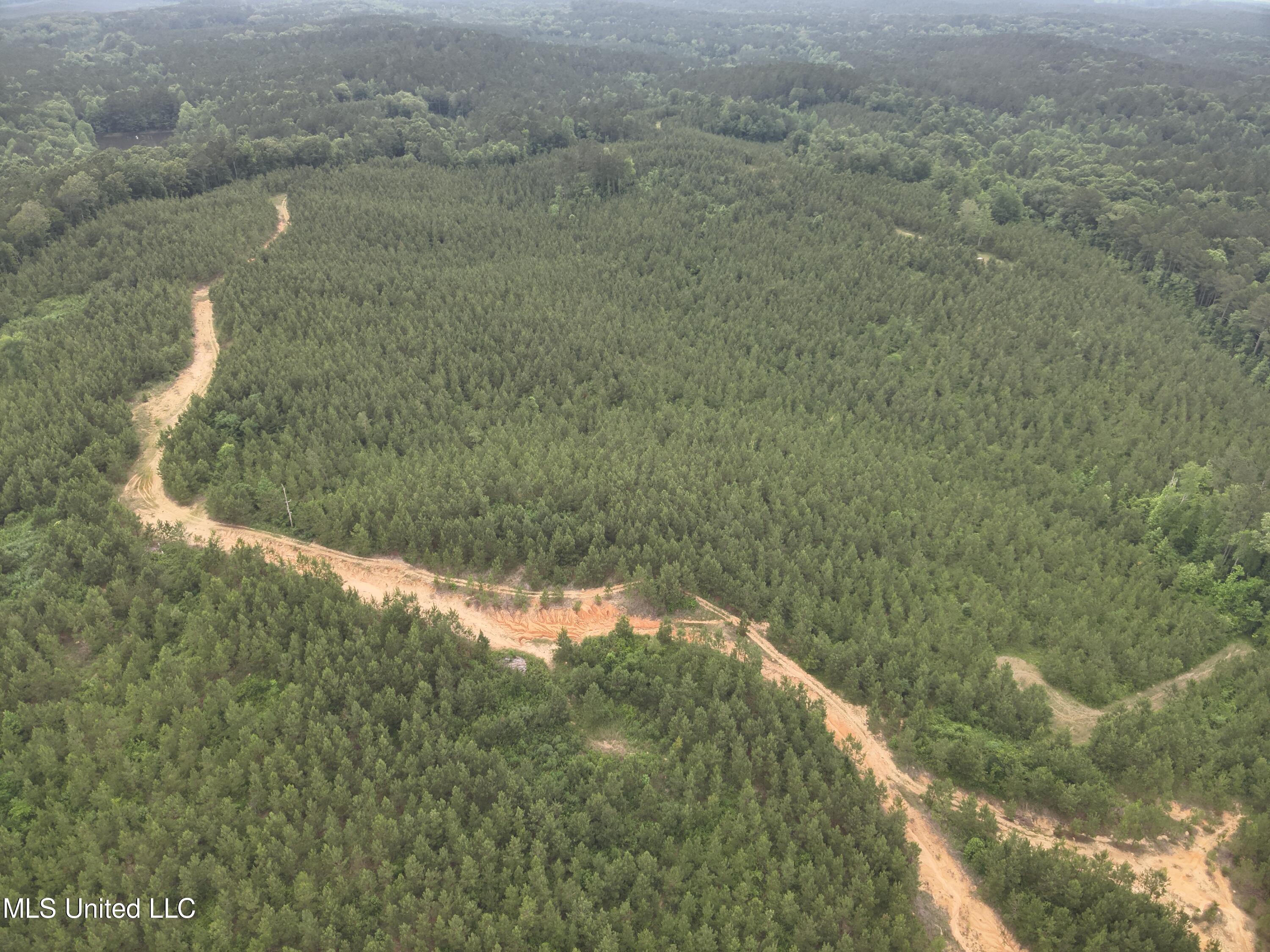 Old Pickens Rd Road Sallis, MS 39160 - Photo 7 of 28 DJI_20230524154431_0006_V