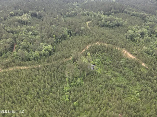 $283,600 | Old Pickens Rd Road, Sallis, MS 39160